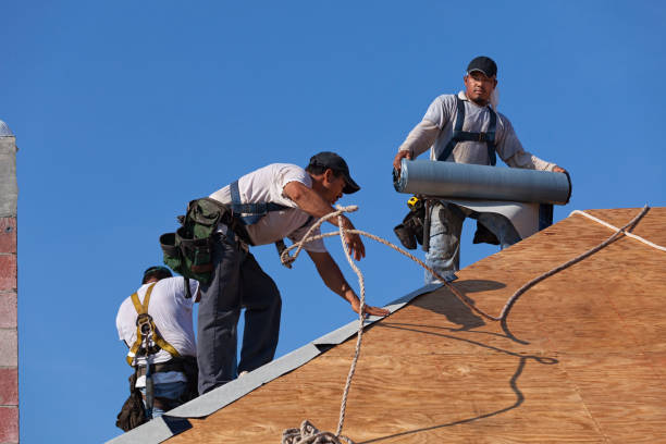 Best Gutter Installation and Roofing  in Clearview, WA
