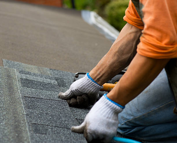 Best Roof Maintenance Services  in Clearview, WA
