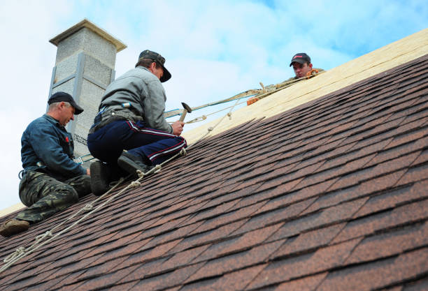 Quick and Trustworthy Emergency Roof Repair Services in Clearview, WA
