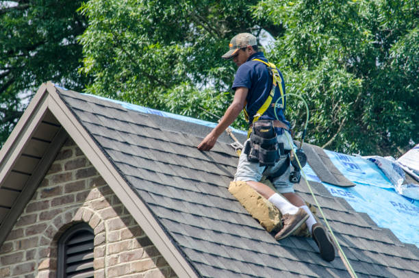 Best Roof Maintenance Services  in Clearview, WA
